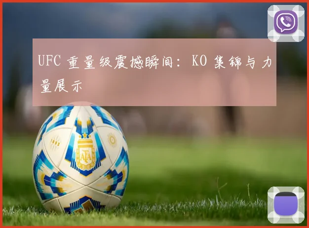 UFC 重量级震撼瞬间：KO 集锦与力量展示